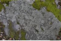 rock overgrown moss 0003
